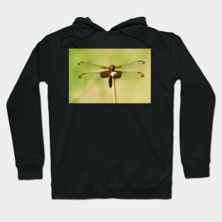 Dark Matter Hoodie